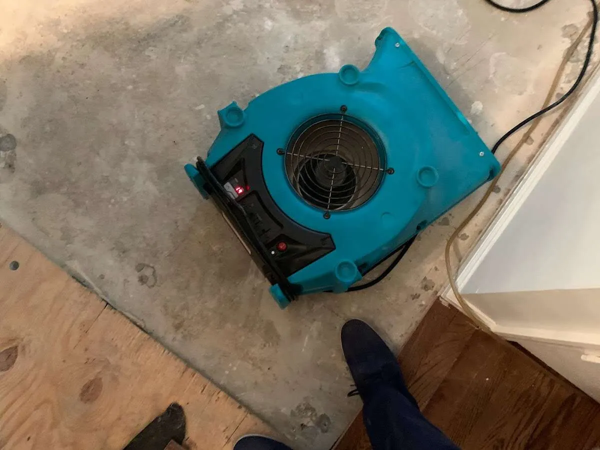Air mover drying subfloor during Leak Detection & Repair in Edna